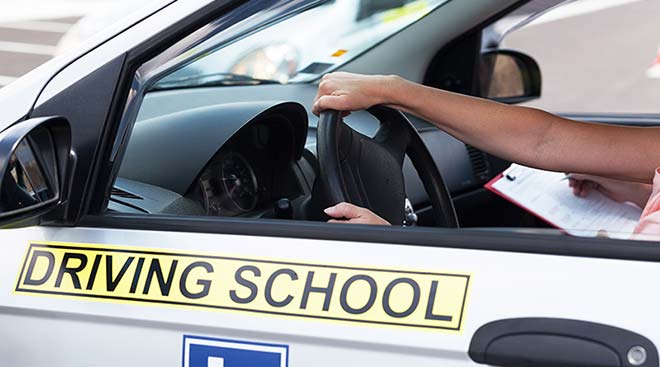 Alamo Driving School/Auto Driving Schools                                                                                                                                                                                    