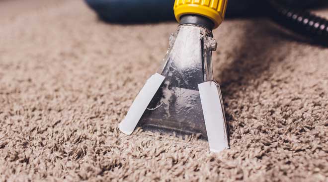 Fresh Step/Carpet Cleaning                                                                                                                                                                                         
