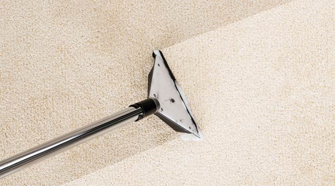 American Carpet Cleaning/Carpet Cleaning                                                                                                                                                                                         