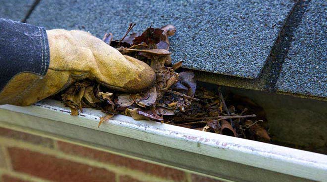 East Gutter Cleaning/Gutter Cleaning                                                                                                                                                                                         