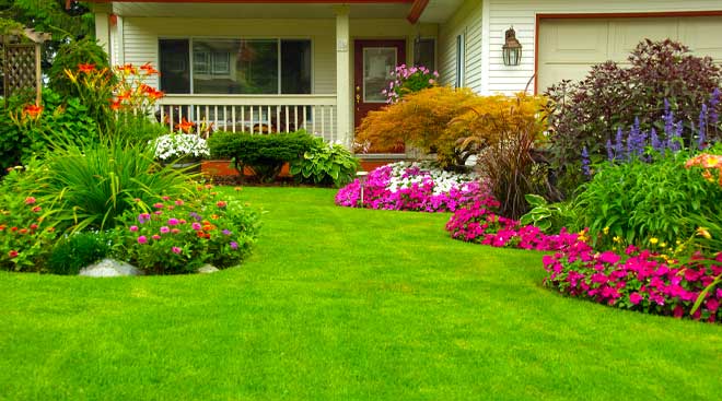 Blooming Landscaping/Landscaping                                                                                                                                                                                             