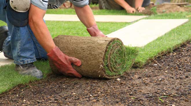 Sage Landscape Contractors & Tree Experts/Landscaping                                                                                                                                                                                             