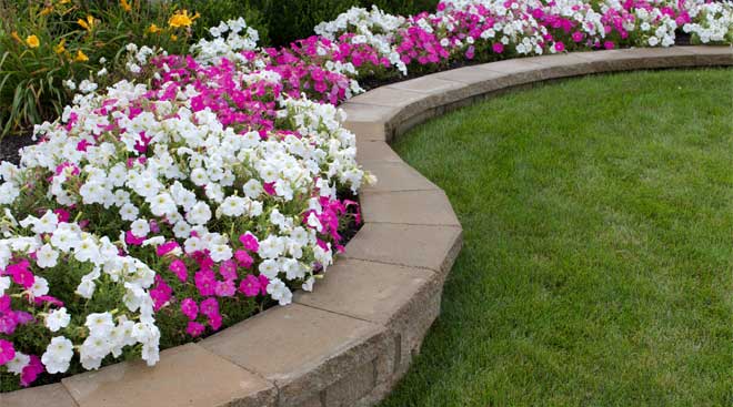 Modern View Landscaping/Landscaping                                                                                                                                                                                             