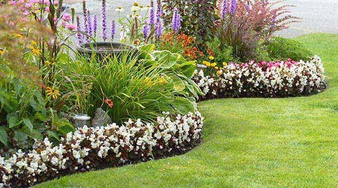 Mirza Landscaping, Inc./Landscaping                                                                                                                                                                                             