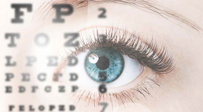 Pearle Vision/Optometrists                                                                                                                                                                                            