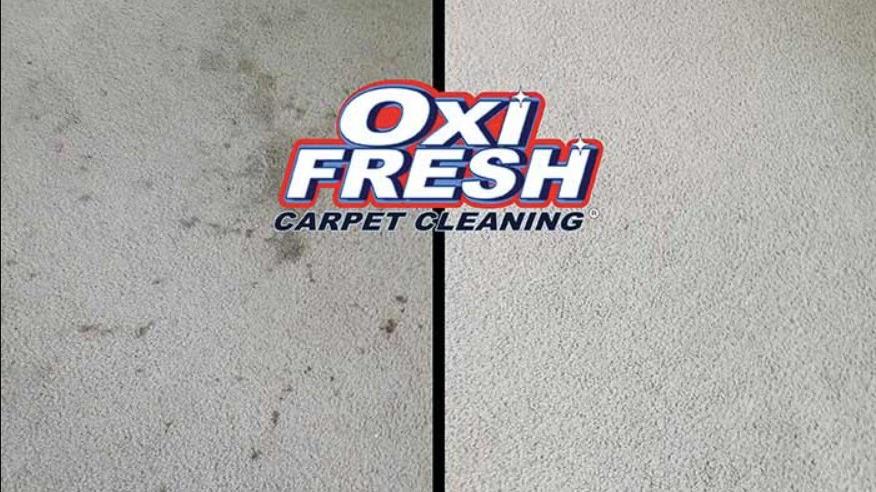 Oxi Fresh Carpet/Carpet Cleaning                                                                                                                                                                                         