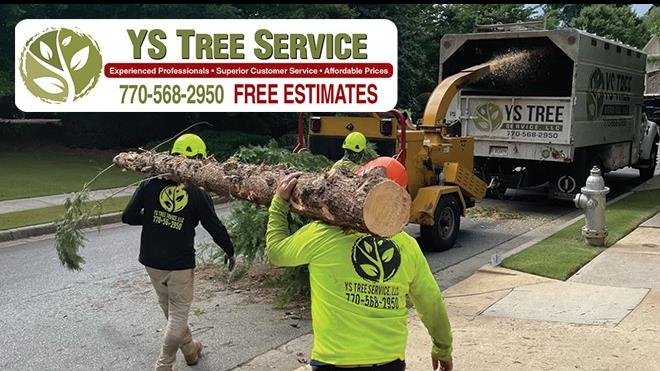 YS Tree Service/Tree Service                                                                                                                                                                                            