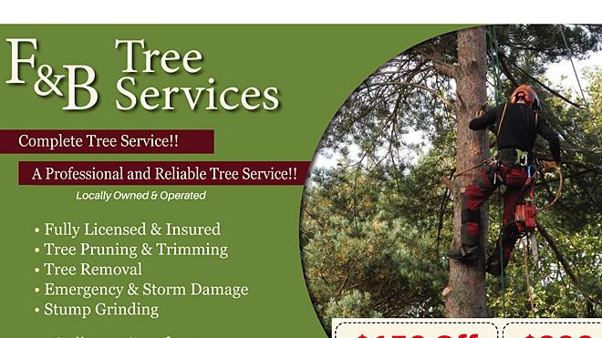 F & B Tree Service/Tree Service                                                                                                                                                                                            