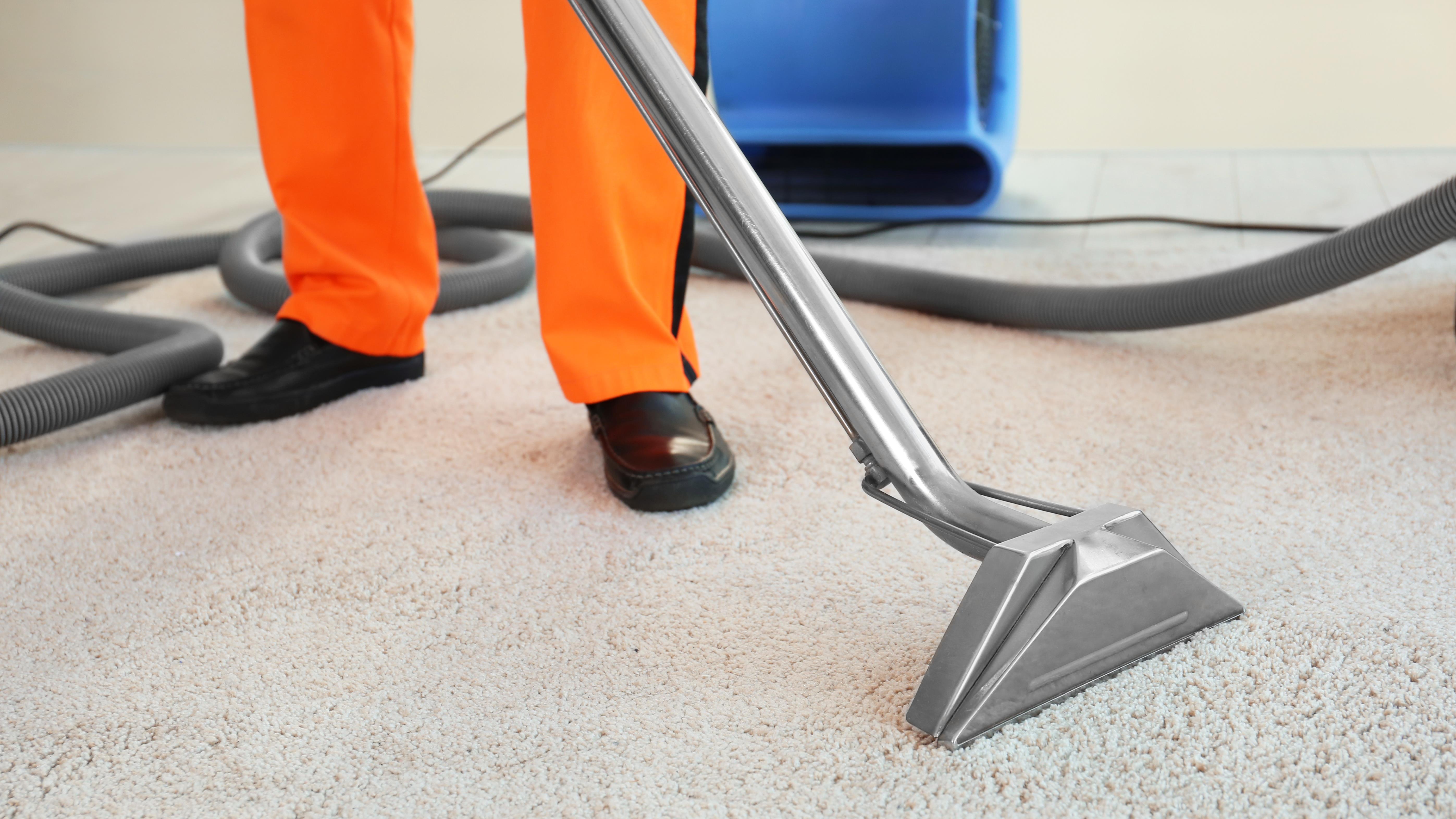 Fox Valley Carpet Cleaning