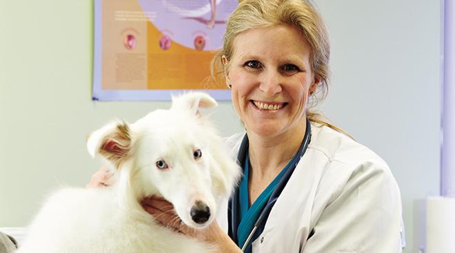Army Trail Animal Hospital/Veterinarians/Pet Hospitals                                                                                                                                                                             