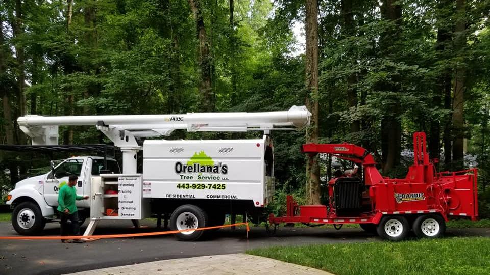Orellana's Tree Service