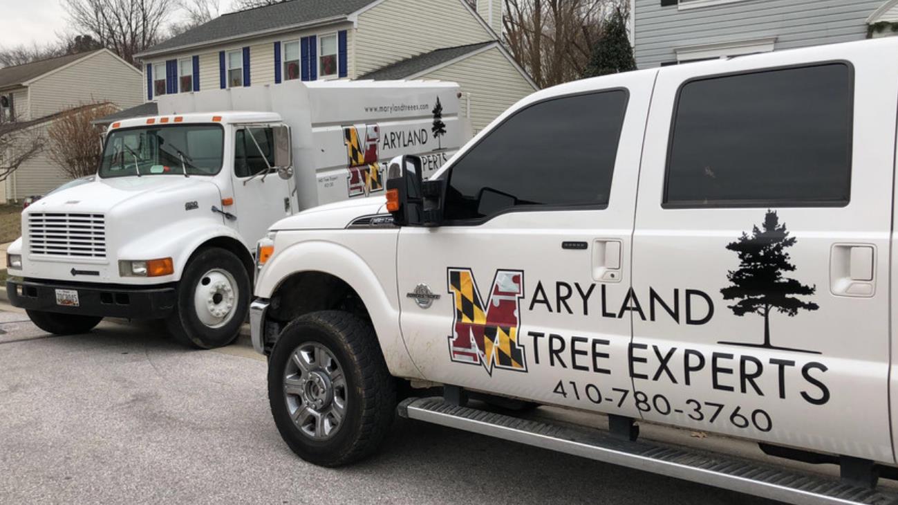 Maryland Tree Experts/Tree Service                                                                                                                                                                                            